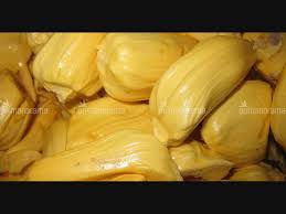 In south india, jackfruits are classified as of two general types: When Jackfruits Lend Name To Venues Of School Fest Ernakulam District News Onmanorama