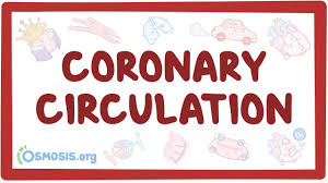 We did not find results for: Coronary Circulation Osmosis
