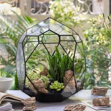 Natural Sedimentary Layered Rock For Landscaping Terrarium Miniature Bonsai Garden Ornaments Succulents Succulent Terrarium Garden Ornaments Beautiful Terrariums