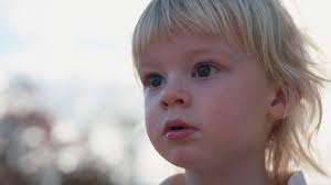 A lovely, lamb roasty Thanksgiving. 🍖