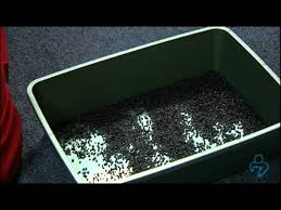 Available directly from kit4cat or find it on amazon. Willard Vet Tutorial How To Easily Collect Your Cat S Urine Youtube