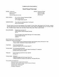 7+ curriculum vitae format for job application pdf | new tech timeline