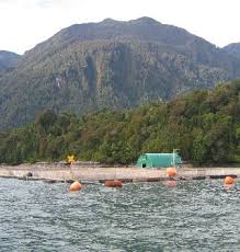 268,269,jln baru,batu maung,bayan lepas 11960 penang, penang,malaysia, malaysia,11960. Aquaculture Wikipedia