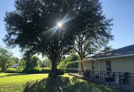 Mar 15, 2018 · address correspondence to nathan falk, md, florida hospital family medicine residency, 133 benmore dr., ste. The Best Assisted Living Facilities In Winter Park Fl Assistedliving Org