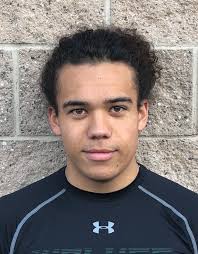 High school football: Green Canyon Wolves 2019 preview