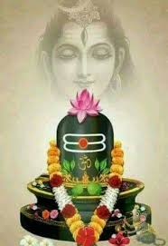 Sun Rays Fall Directly