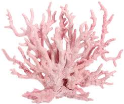 Maybe you would like to learn more about one of these? 2 X Artificial Coral Reef Coral Aquarium Decoration Pink Amazon Co Uk Pet Supplies