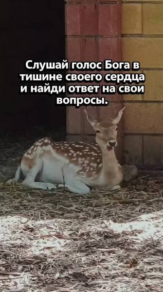 ������ ����� ���� � ������ ������ ������ � ����� ����� �� ���� �������.