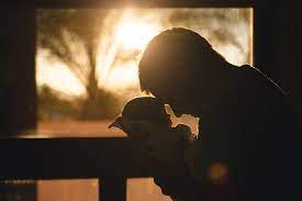 Fathers Rights During Pregnancy Masterson Law