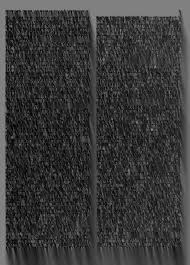 Image result for Huperzia mildbraedii