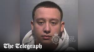 Judge blames 'over-indulgent' parents as he jails new driver who killed two  passengers in crash