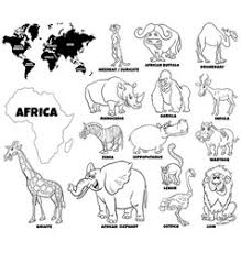Download Camel Coloring Page Vector Images Over 100