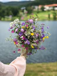 The experts at floraqueen put a great amount of time and effort into the creation of each of these beautiful birthday bouquets knowing that they will be the highlight of any. Flowers Bouquet Mother S Day Birthday Friends Flowering Plant Flower Plant One Person Real People Pxfuel