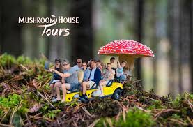 Edith Pair (@mushroomhousetours) • Instagram photos and videos