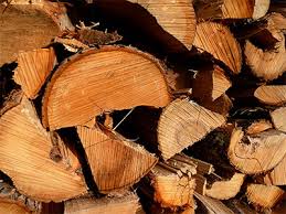 There are things that grow/regrow much faster here. Firewood Sherrill S Ford Huntersville Mooresville Nc