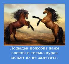 Меня критиковали за то, что уж слишком много пропаганды зожа, так что уменьшаю натиск и увеличиваю количество просто симпатичных парней и девушек, занимающихся спортом. Citaty Pro Loshadej I Konnyj Sport Krasivye So Smyslom