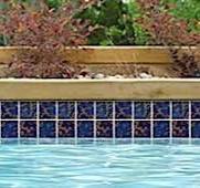 National Pool Tile Discovery Field 3x3 Beak | Terra Blue | DSF10N BEAK