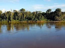 Unser anspruch lautet beste produktqualität im einklang mit der natur. Karibikfeeling Im Amazonas Urwald Bruder Auf Achse