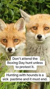 End the smokescreen of trail hunting! 🦊, It’s Boxing Day hunts aren’t  tradition, they’re cruelty. There’s no place for this in a nation of animal  lovers. Support ea each other and follow the Birding ...
