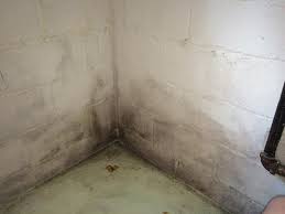 A simple borax solution is. Removing Black Mold From Basement Cinder Blocks Diy Home Improvement Forum