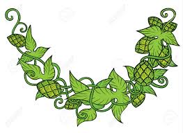 Descubra lupulo imágenes de stock en hd y millones de otras fotos, ilustraciones y vectores en stock libres de regalías en la colección de shutterstock. Lupulo Vector Visual Grafico Ilustracion Diseno O Logotipos Ideal Para La Cerveza Cerveza De Malta Cerveza Inglesa Cerveza Dorada Etiquetas Amargas Y Envasado Ilustraciones Vectoriales Clip Art Vectorizado Libre De Derechos