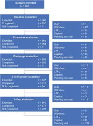 One Year Outcomes Associated With A Novel Stented Bovine