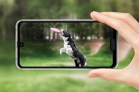 Sharp Aquos R2 compact Phone ...