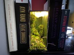 Book Shelf Book Nook Insert Diorama Etsy In 2020 Book Nooks Bookshelf Art Bookshelves