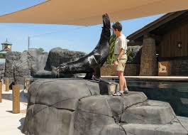 We did not find results for: So You Want To Be A Zookeeper Saint Louis Zoo