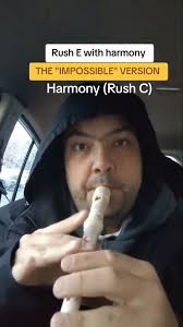 #rushe #makemefamous #makemeviral #flute #musician #memes #difficult  #harmony #metalhead #music #fyp