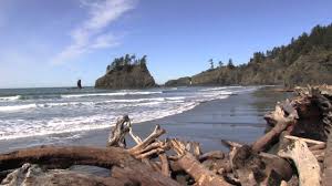Whether you're an adventurous traveler or just want to take in the scenery, la push is a great place to spend some time second beach trail (5.8 mi / 9.3 km). 2nd Beach La Push Washington Youtube