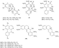 Both naturally occurring and synthetic aporphine alkaloids possess. Scielo Brasil Aporphine And Tetrahydroprotoberberine Alkaloids From The Leaves Of Guatteria Friesiana Annonaceae And Their Cytotoxic Activities Aporphine And Tetrahydroprotoberberine Alkaloids From The Leaves Of Guatteria Friesiana Annonaceae