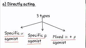 Pin On Pharmacology