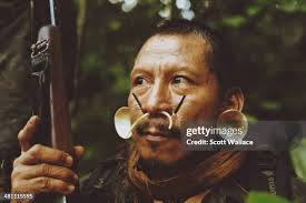 30 Culture Matis Stock Photos, High-Res Pictures, and Images