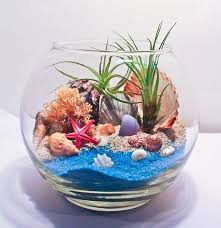 Diy Sand Art Terrarium Ideas Projects Everyone Will Love 23 Succulent Terrarium Terrarium Air Plant Terrarium