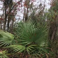 Cagle recreation area, located on the shores of lake conroe, offers great fishing and water sports just 45 minutes north of houston. Cagle Recreation Area Campground In New Waverly