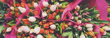 Shop floral supplies 125+ varieties, colors white to purple for your pinterest board Wholesale Flowers Online Auction Direct Flowers