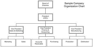 Functional Organizational Structure Online Charts Collection