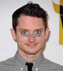 Hey Apple Max The Pitbull Incident