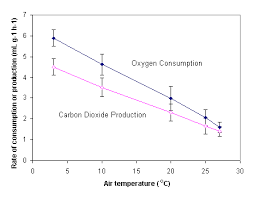 Efficiency Of Atp Production