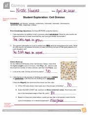 Worksheets are student exploration stoichiometry gizmo answer key pdf, meiosis and mitosis answers work, honors biology ninth grade pendleton high school, 013368718x ch11 159 178, richmond public schools department of curriculum and Bl3 U2013 Ga 3 Student Exploration Worksheet Cell Division Gizmo Activity 1 2 Pdf Name Tunde Ajala Date Student Exploration Cell Division Course Hero