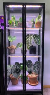 Check spelling or type a new query. Reddit Houseplants Finally Started To Put Some Plants In My Ikea Greenhouse Cabinet Room With Plants Plants House Plants Indoor