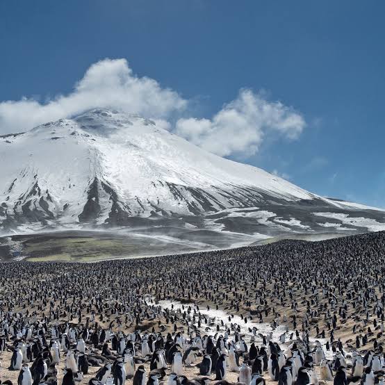 Planet Earth II: the most amazing places, chosen by producers | Wildlife  holidays | The Guardian