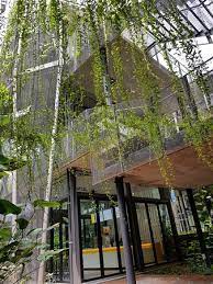 Didn't expect it to be very comfortable and nice. Ss Subang Jaya Outlet Yzen Frozen Yogurt Picture Of Yzen Frozen Yogurt Cyberjaya Tripadvisor