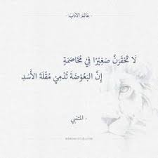 لا تحقرن صغيرا في مخاصمة المتنبي عالم الأدب in 2021 spirit quotes wisdom quotes life weird words