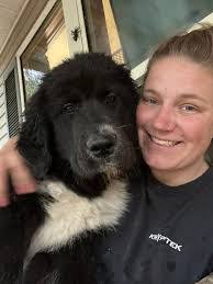 Angela Frederickson's Instagram, Twitter & Facebook