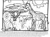 Our free coloring pages for adults and kids, range from star wars to mickey mouse. Creation Bible Coloring Pages