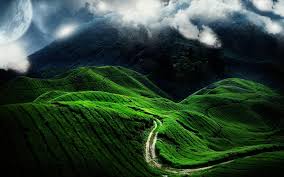 To the west, it shares part of its border with perak. Cameron Highland Sunrise Discovery Tour Malaysia