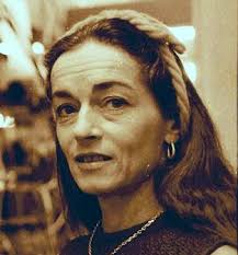 Precision Teaching Hub and Wiki