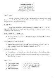 Effective Resume Formats Resume Format For It Professionals ...